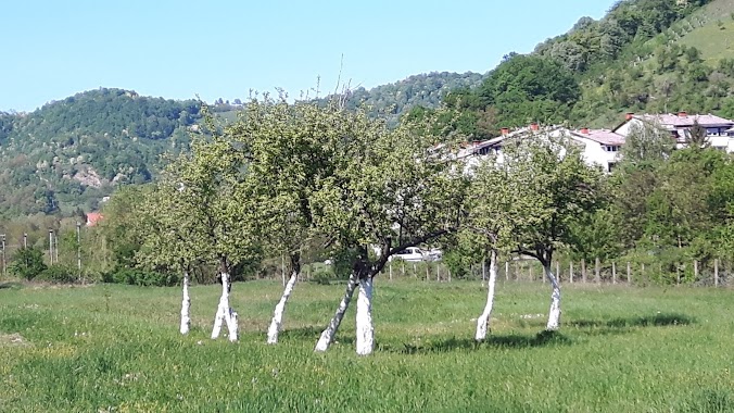 Stadion Gaj, Author: Mevludin Hasanović