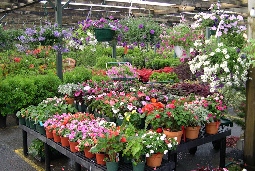 Corliss Brothers Garden Center and Nursery - Thumbnail