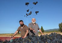 Domaine Luc Lapeyre à Trausse
