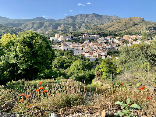 Castillejo - Visual