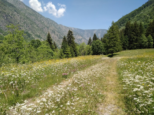 Callieri - Visual