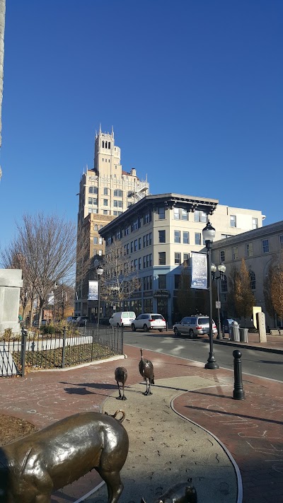 Photos of Green Sage Cafe Downtown