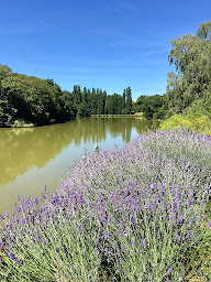 Photo n°16 de DOMAINE DU PONT SALMOIS à Neuil (Chambre d'hôtes)