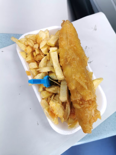 Fish Plus - Visual
