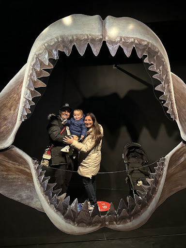 Kramer & Kramer Dental