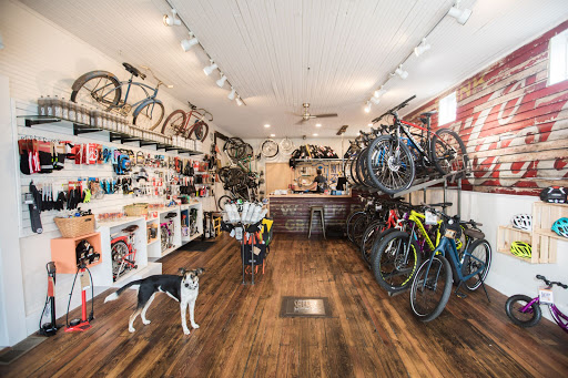 Shelby Ave. Bicycle Co. - Thumbnail