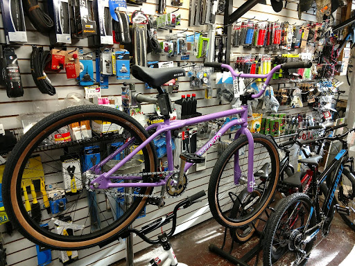 Down Cycles - Visual