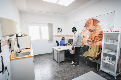 Hospital Veterinario San Bernardo - Thumbnail