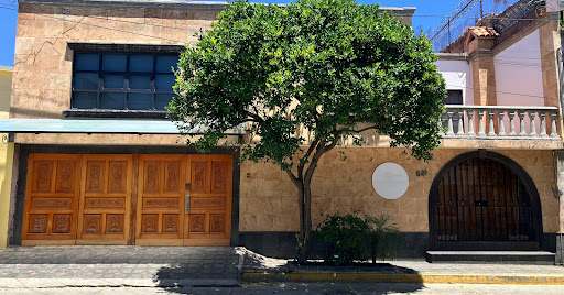 Brazilian Beauty studio y art