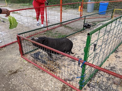 Green Meadows Farm Brooklyn