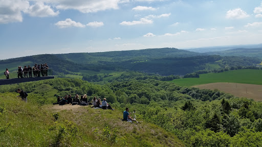 Sonnenstein - Visual