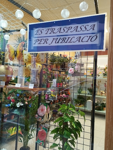 Floristeria Roses d'Abril - Thumbnail