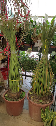 Floristería Caralt - Thumbnail