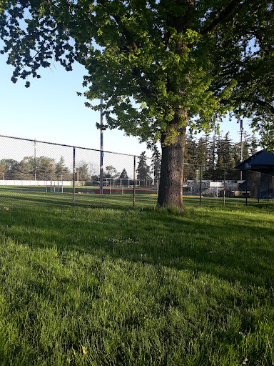 Joe Martin Stadium - Thumbnail