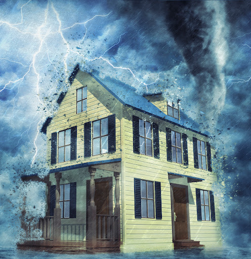 STORM RESTORATION SERVICES INC - Thumbnail