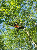Dorée Elagage à La Roche-de-Glun