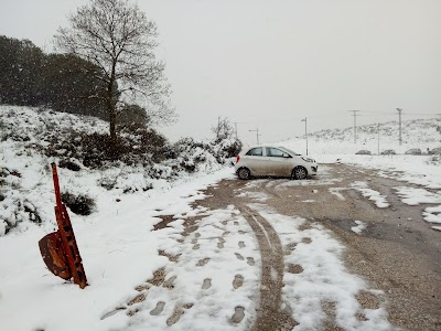 Photos of Parc Djebel El Ouahch