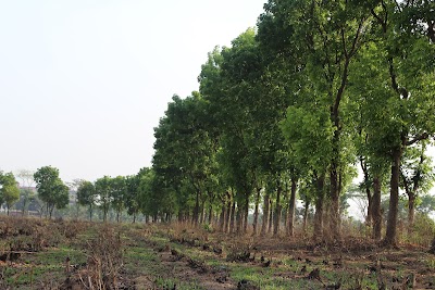 Photos of Dairy Farm Savar