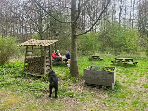 Voedselbos Eindhoven