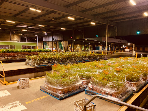 Woolworths Distribution Centre