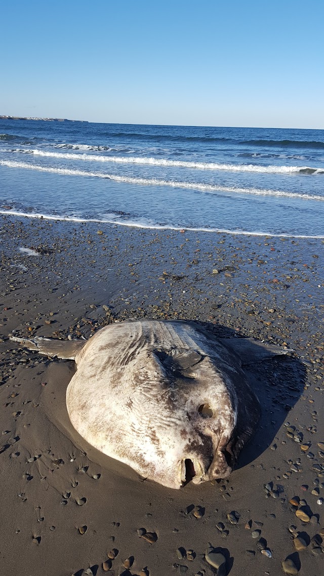 Big Glace Bay Beach
