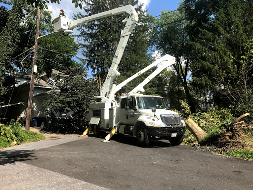 Holland Power Services - Thumbnail