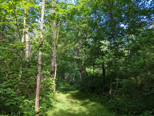 Rush Creek Conservation Area Gallery - United States
