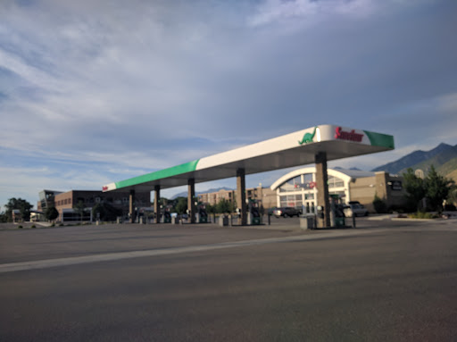 Ernie's Prostop - Visual