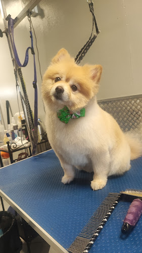 Ερμού 22, Μαρκόπουλο Μεσογαίας 190 03