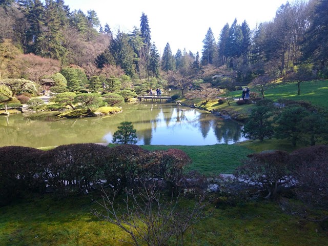 Seattle Japanese Garden