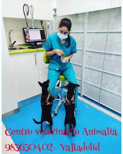Centro Veterinario Animalia