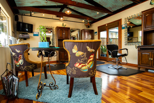 Blu August Salon - Thumbnail
