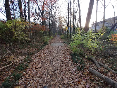 Lamarre Dr Trailhead