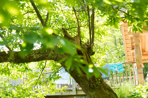 Photo n°27 de Estiva à Lapeyrugue (Maison d'hôtes)