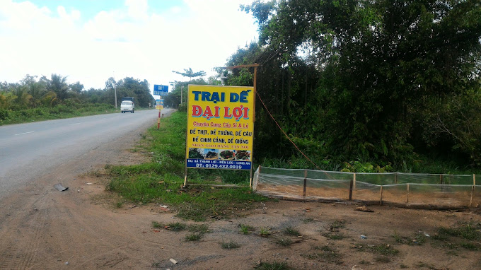 Trại Dế ĐẠI LỢI