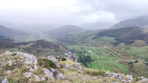 Peña Hoguera - Visual