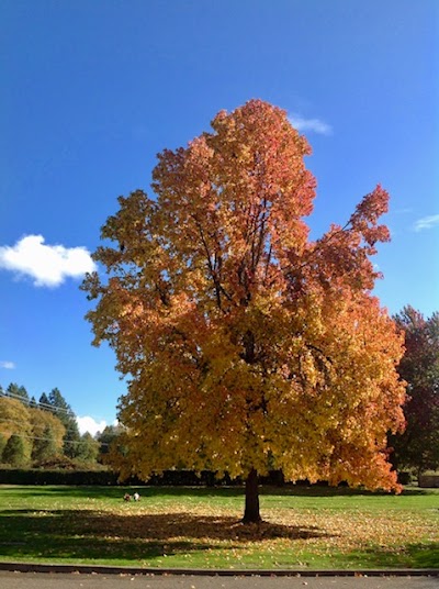 Hawthorne Memorial Gardens