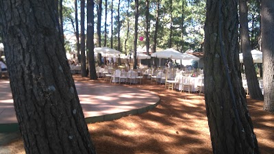 Photos of Reception Hall Santa Barbara