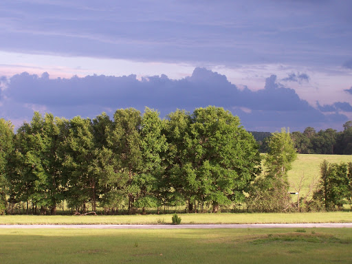 Tommie Dawson Realty - Thumbnail