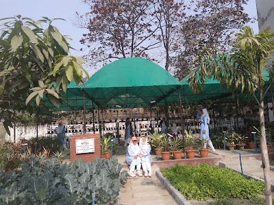 Photos of Dhaka Cant Girls' Public School & College