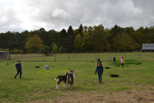 Photo 2 - Nom d'une ferme !