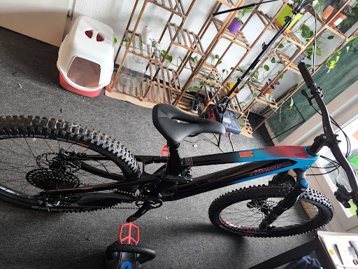 Fahrrad Riebold Gmbh - Thumbnail