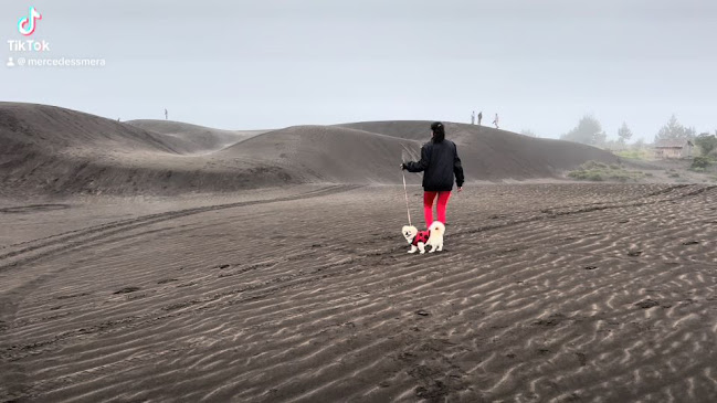 Desierto de Palmira