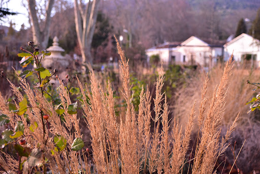 Rosengarten Neustadt an der Weinstraße Logo
