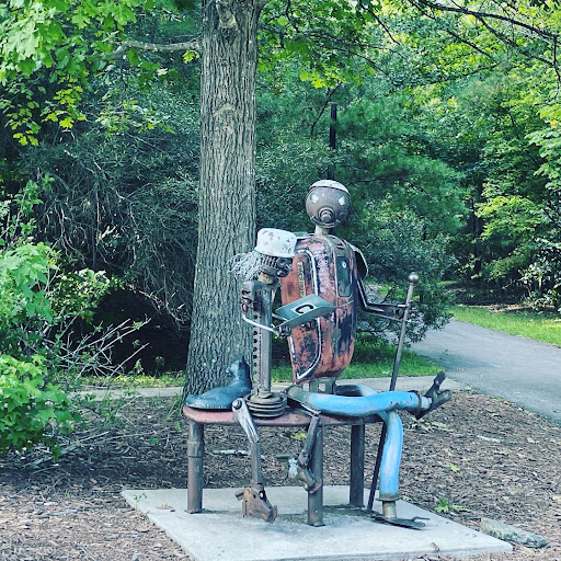 Friends of Chapel Hill Public Library - Thumbnail