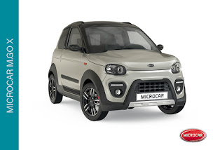 Photo n°5 de LIGIER STORE - GARAGE VERT COLOMBIER LE VIEUX - VOITURES SANS PERMIS LIGIER à Colombier-le-Vieux (Vendeur de voitures d'occasion)