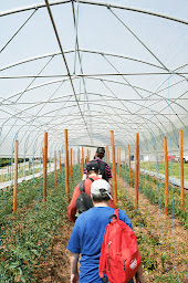 Photo n°5 de Espace de vente - Delt’Agri - Fondation Delta Plus à Saint-Léonard-de-Noblat (Magasin de produits de la ferme)