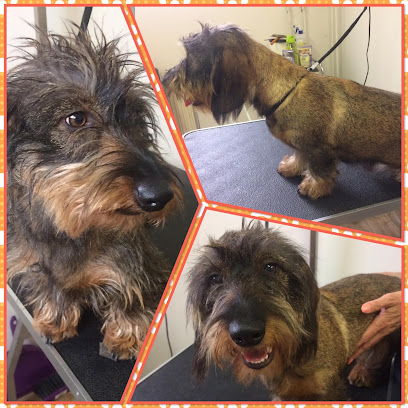 Manó kisállatkozmetika