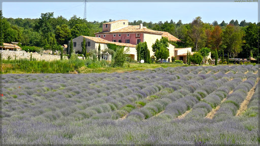 Office Intercommunal Pays d'Apt Luberon, Bureau de Céreste - Thumbnail