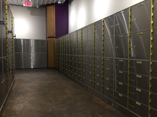 Freedom Vault - Visual